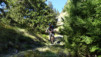 termin_040