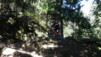 termin_046