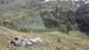 tieche_17_007