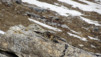 tieche_17_010