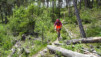 tieche_17_034