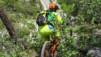 tieche_17_035