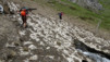 tieche_18_017