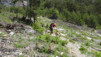 tieche_20_033
