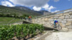 tieche_20_035