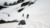 tieche_21_009