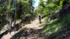 tieche_21_018