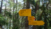 tieche_21_019