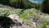 tieche_21_025