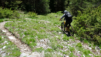tieche_21_026