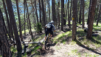 tieche_21_029