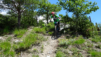 tieche_21_033