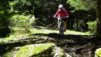tronc_planches_17_010