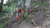 tronc_planches_17_016