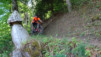 tronc_planches_17_023
