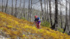 tschaermilonga_17_026