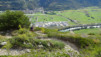 tschaermilonga_17_036