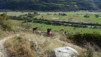 tschaermilonga_17_041