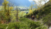 tschaermilonga_17_042
