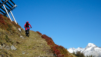 uerlichergale_018