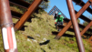 uerlichergale_019