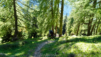uerlichergale_026