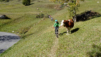 uerlichergale_028