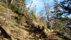 underi_fasilalpu_20_009