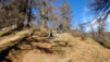 underi_fasilalpu_20_016