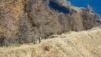 underi_fasilalpu_20_020