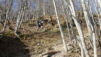 vallee_express_21_023