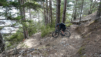varner_leitern_010