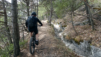 varner_leitern_016