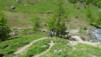 varneralp_14_1_003