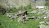 varneralp_14_1_004