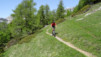 varneralp_14_1_006