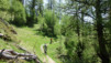 varneralp_14_1_007
