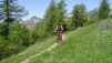 varneralp_14_1_008