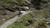 varneralp_14_1_014