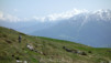 varneralp_14_1_017