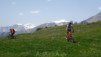 varneralp_14_1_018