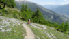 varneralp_14_1_028