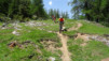 varneralp_14_1_031
