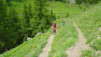 varneralp_15_1_004