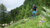 varneralp_15_1_006
