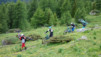 varneralp_15_1_012