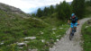 varneralp_15_1_016
