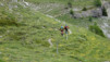 varneralp_15_1_018