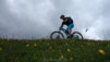 varneralp_15_1_023
