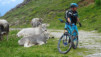 varneralp_15_1_032